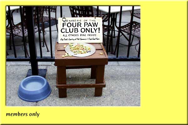Four Paw Club.